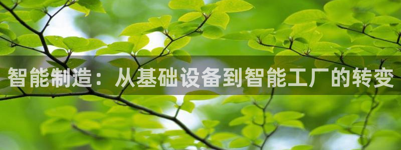 万事娱乐下载地址查询