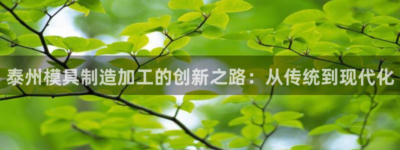 万事达娱乐董善良