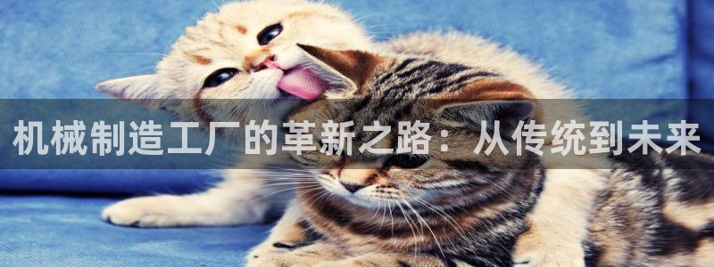 万事娱乐下载地址在哪