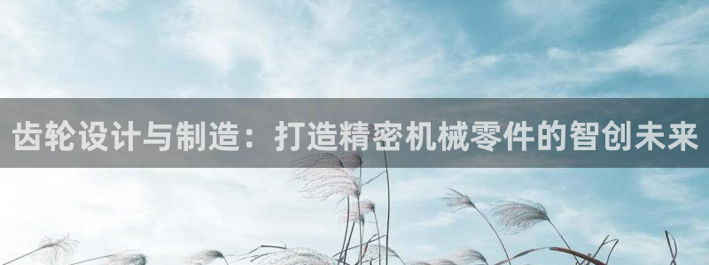 万事达娱乐朱善良